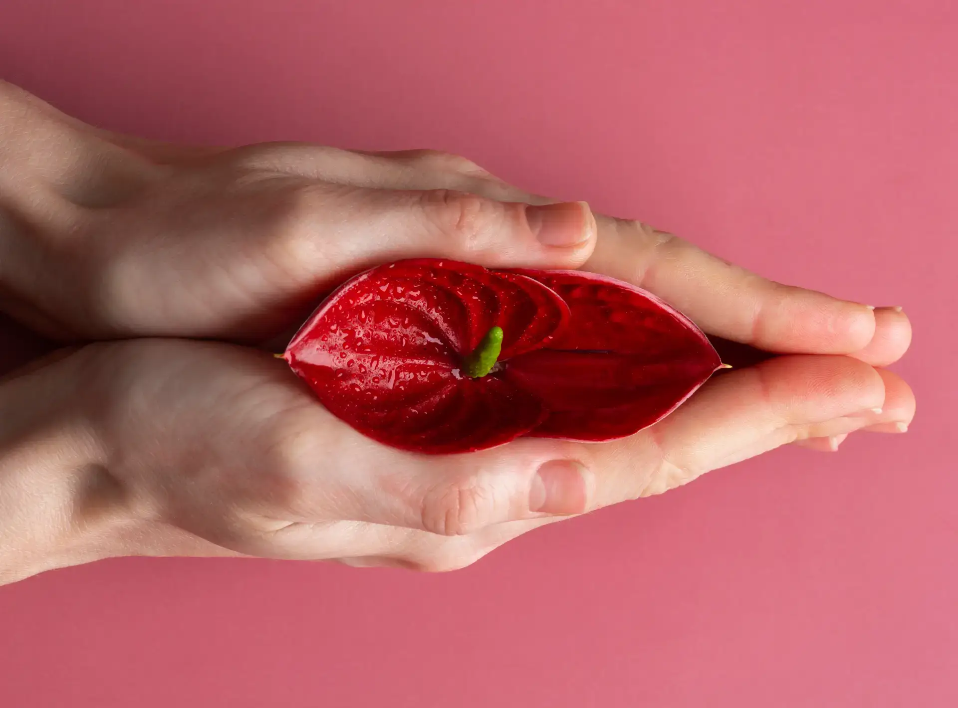 Know About Vaginal Dryness & the Menopause